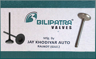 Bilipatra Brand Engine Valve Auto Parts Manufacturers Rajkot